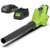 Greenworks 24 Volt Accu Bladblazer Met 2.0 Ah Accu En Lader -Husqvarna Winkel 12315 0 800x800 1