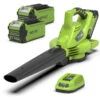 Greenworks Bladblazer/Zuiger 40V DIGIPRO Met 2x 2.0Ah Accu En Lader -Husqvarna Winkel 13558 0 800x800 1