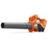 Husqvarna Accu Bladblazer 120iB Incl Accu En Lader -Husqvarna Winkel 16583 0 800x800 1